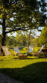 Inviting garden seating area with deck chairs under a tree, perfect for relaxation.