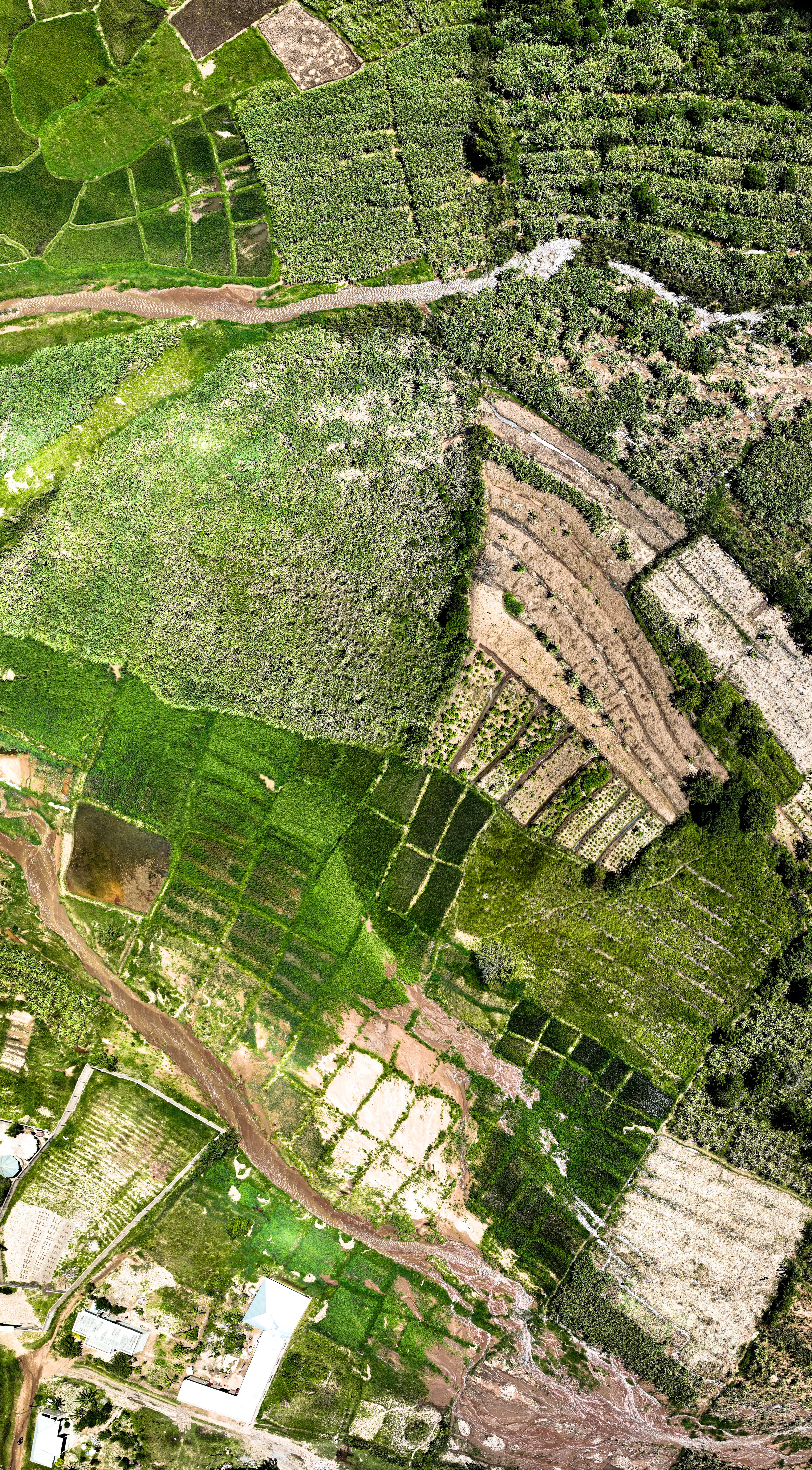 Aerial photograph showcasing a patchwork of fields with varying green tones and textures.