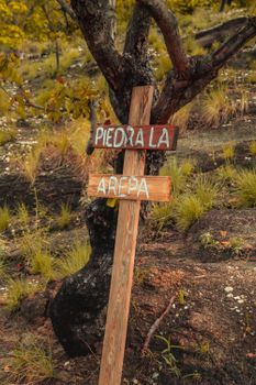 Wooden signpost with 'Piedra La Arepa' text in a natural outdoor setting featuring grass and a tree.