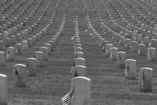Honoring fallen soldiers with flags on headstones in a military cemetery.