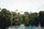 amazon jungle