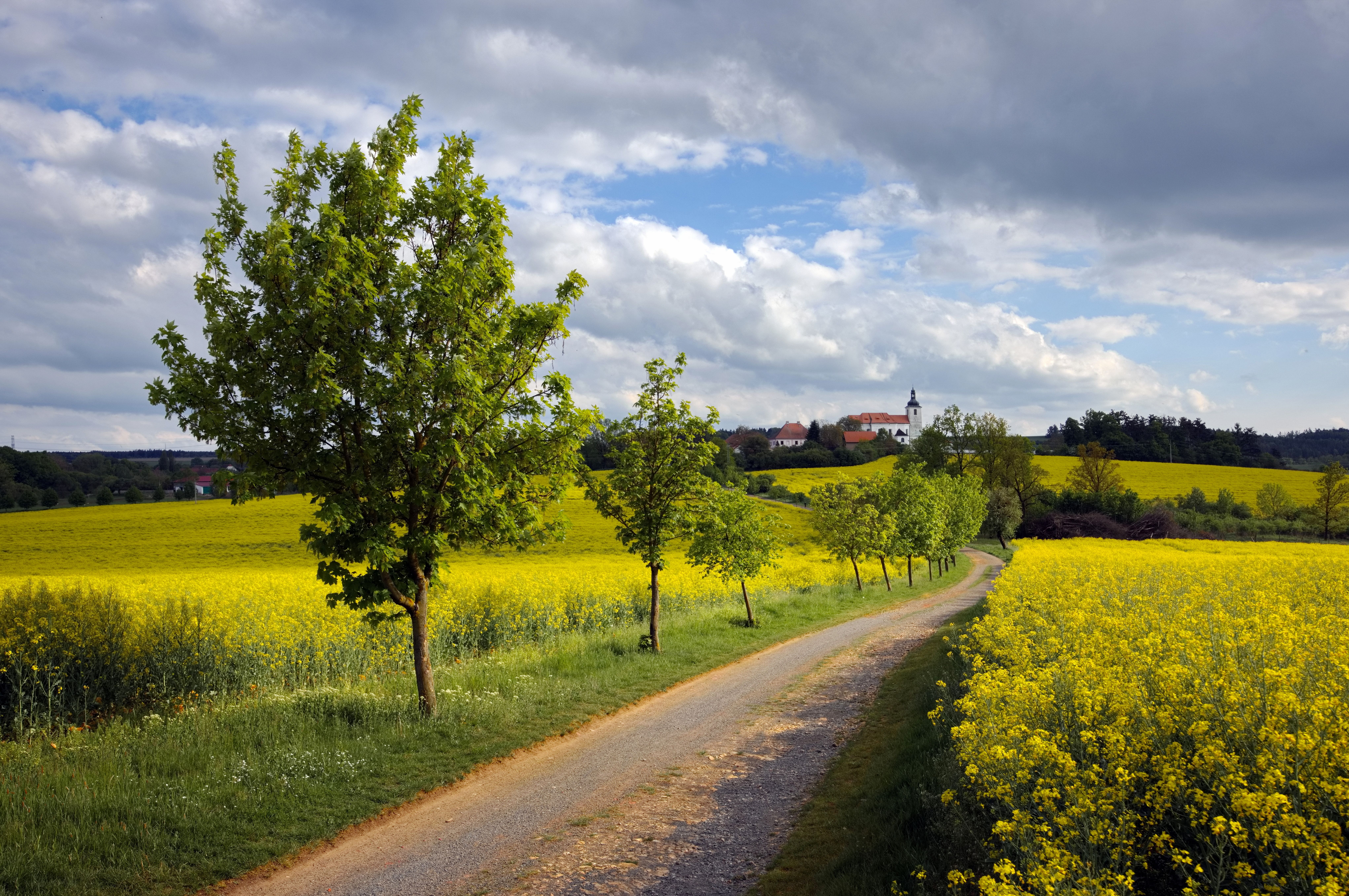church path journey