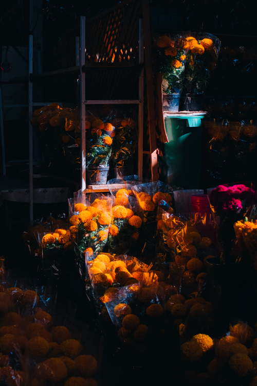 Free Beautiful marigold flowers illuminated at a Ciudad de México market display vibrant colors. Stock Photo