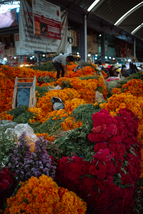 Free Stunning arrangement of marigolds and flowers at Mexico City's bustling market. Stock Photo