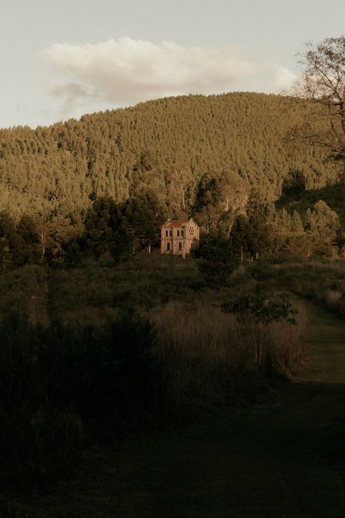 Free An abandoned house nestled in a dense forest with a serene ambiance of nature. Stock Photo