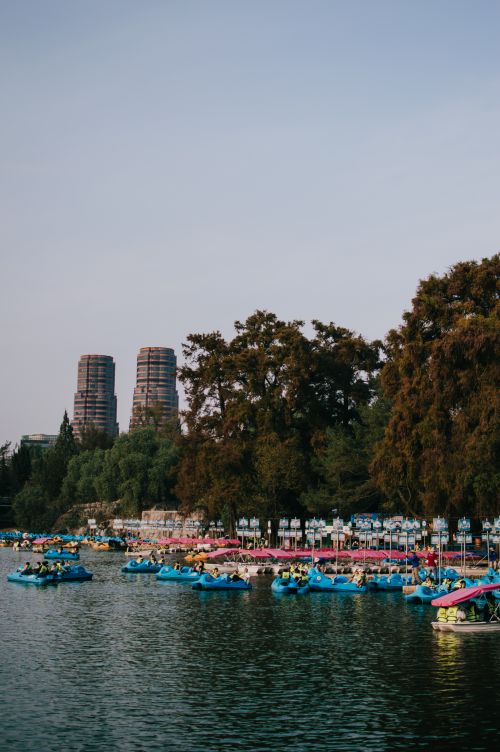 Free Boats on Chapultepec Lake with a backdrop of lush trees and city skyline in Mexico City. Stock Photo