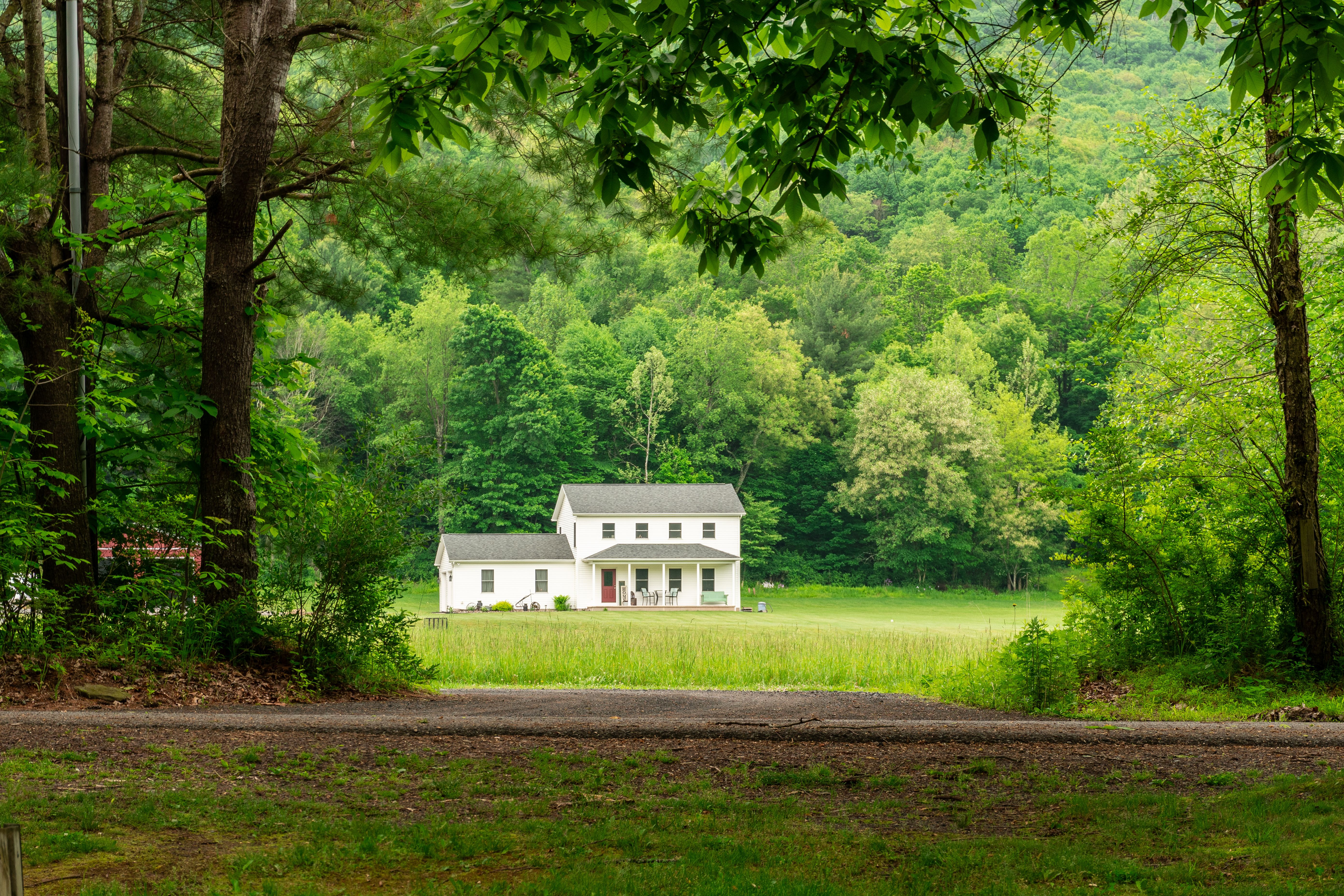 A quiet rural property with tethered roosters in separate barrels, overcast sky and uneasy atmosphere