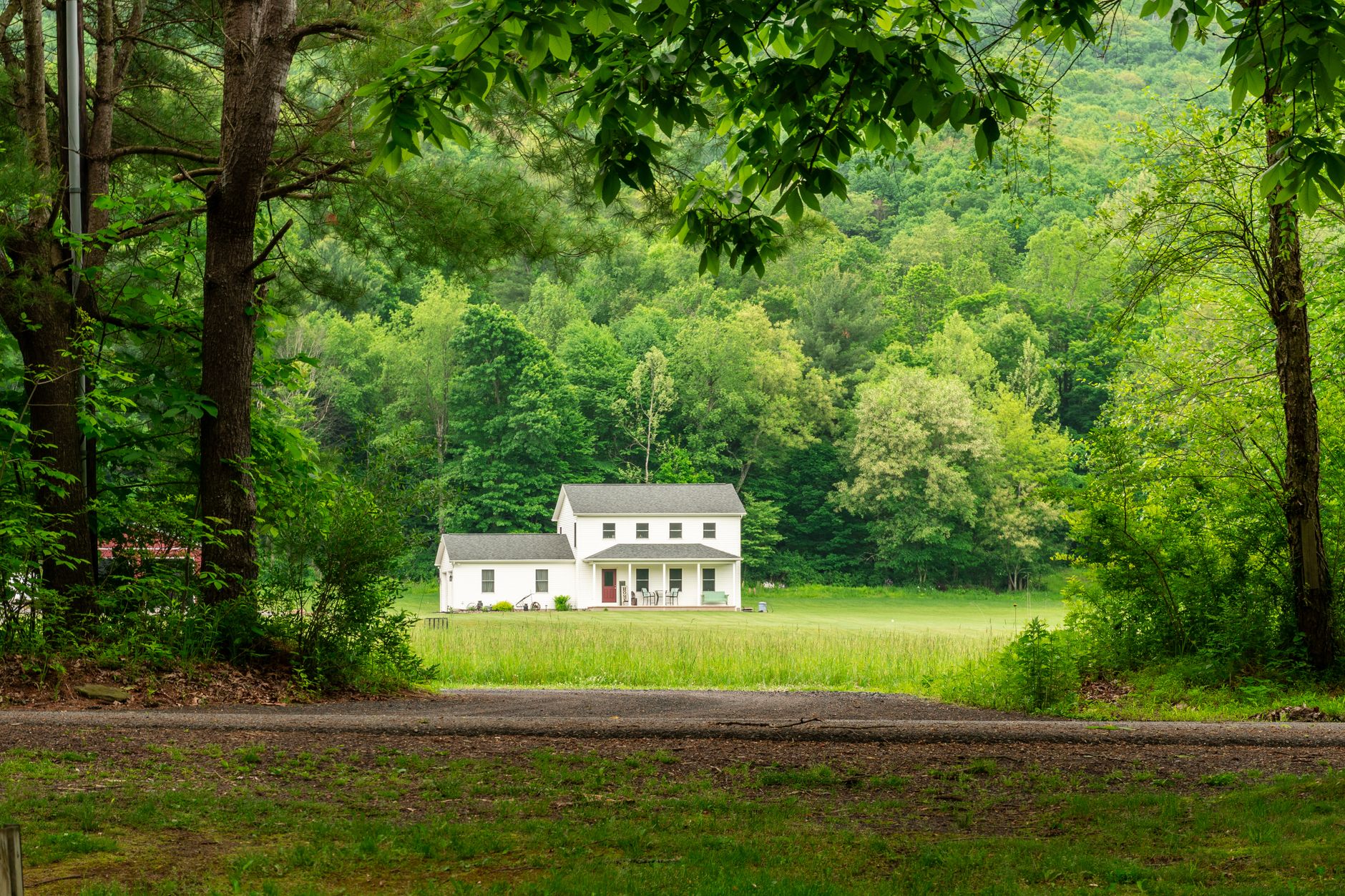 A quiet rural property with tethered roosters in separate barrels, overcast sky and uneasy atmosphere