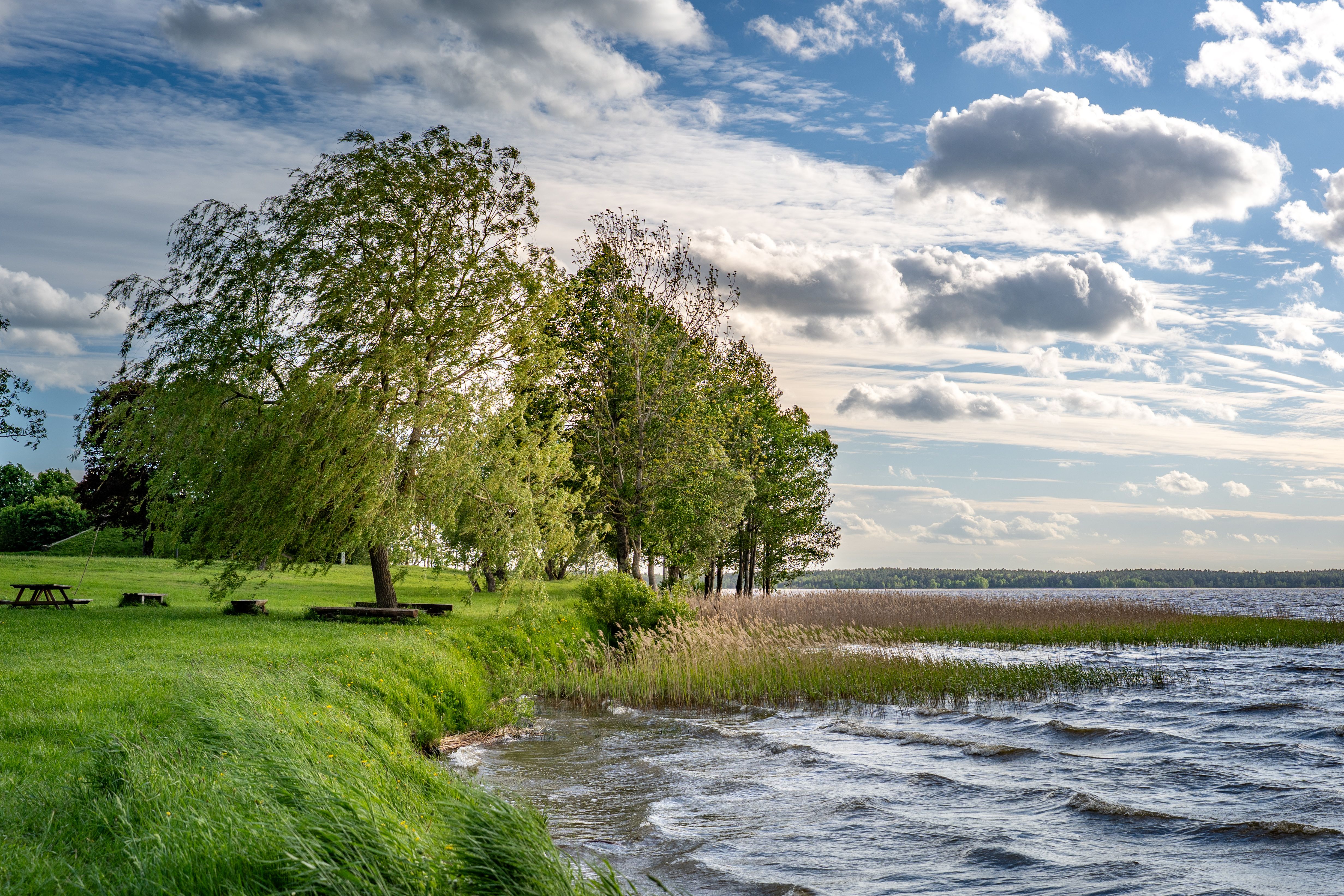 Beautiful view of Rėkyva Lake with lush greenery and a clear blue sky.