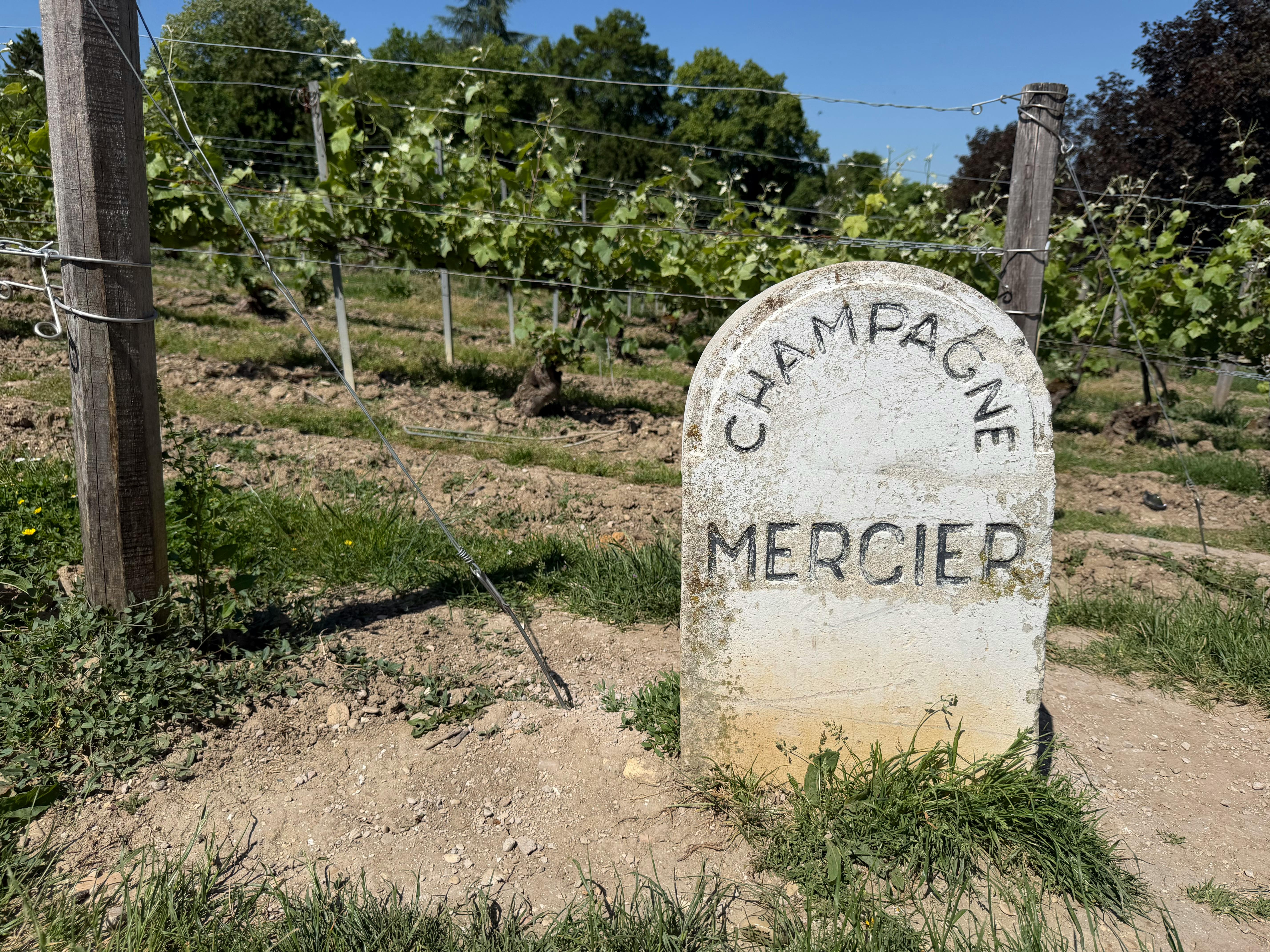 Landmarks in Epernay