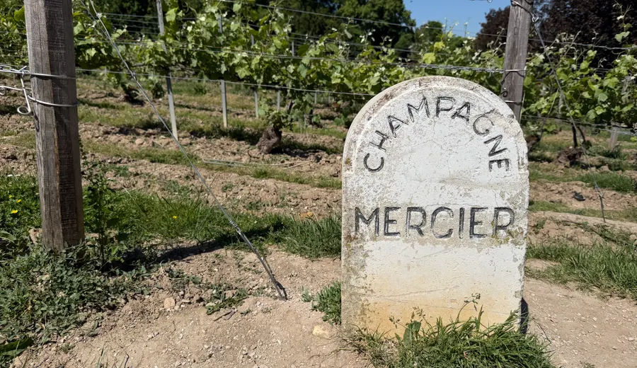 Jour 4 en Champagne