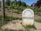 View of Champagne Mercier vineyard with a vintage marker in Épernay, France on a sunny day.