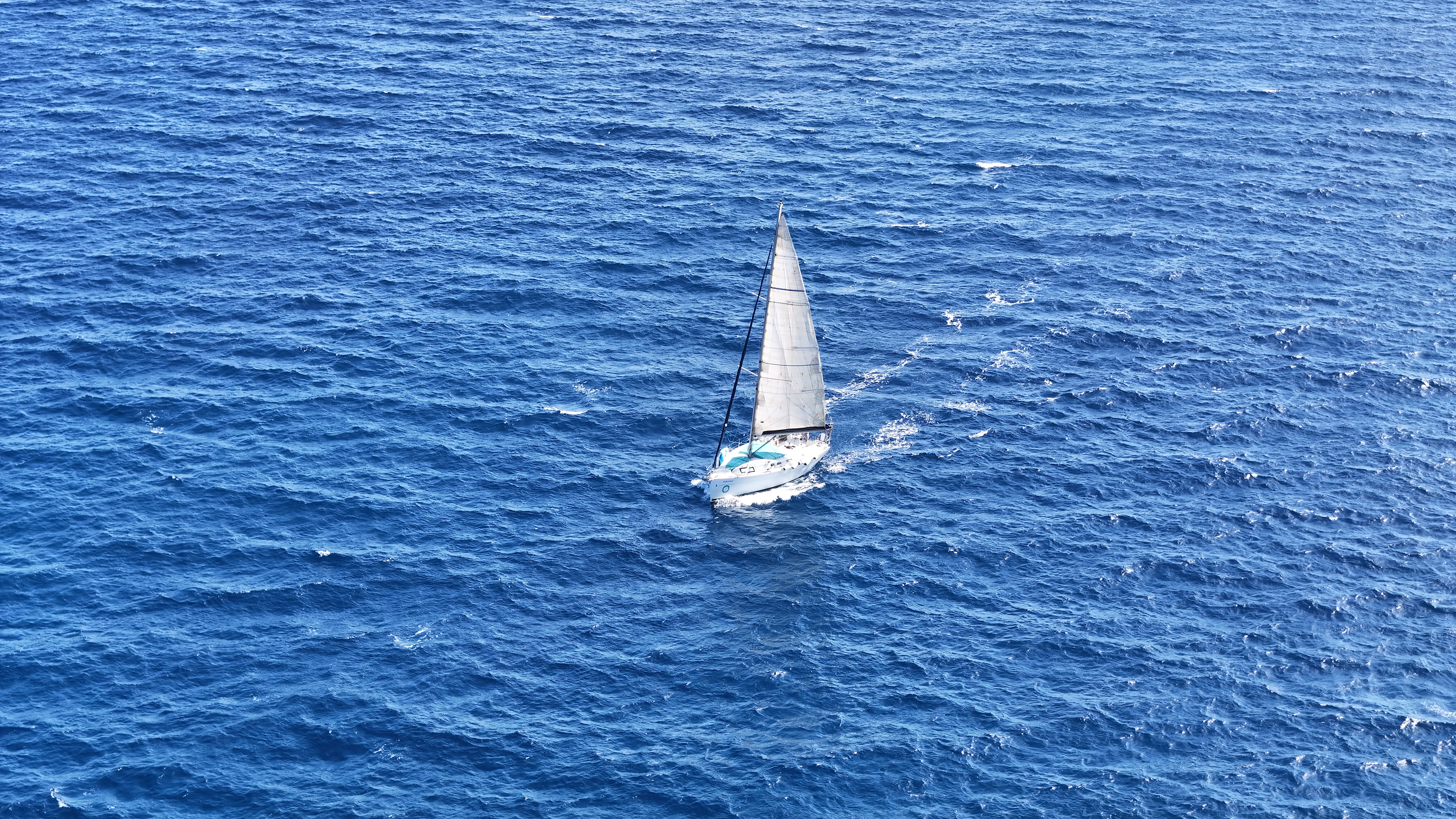 Outstanding Dolphin Searching Tour in Puerto de Mogán (