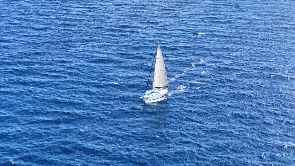 Outstanding Dolphin Searching Tour in Puerto de Mogán (