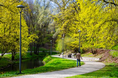 Free A serene pathway in a vibrant park setting with a man walking under blossoming trees, capturing the essence of spring. Stock Photo