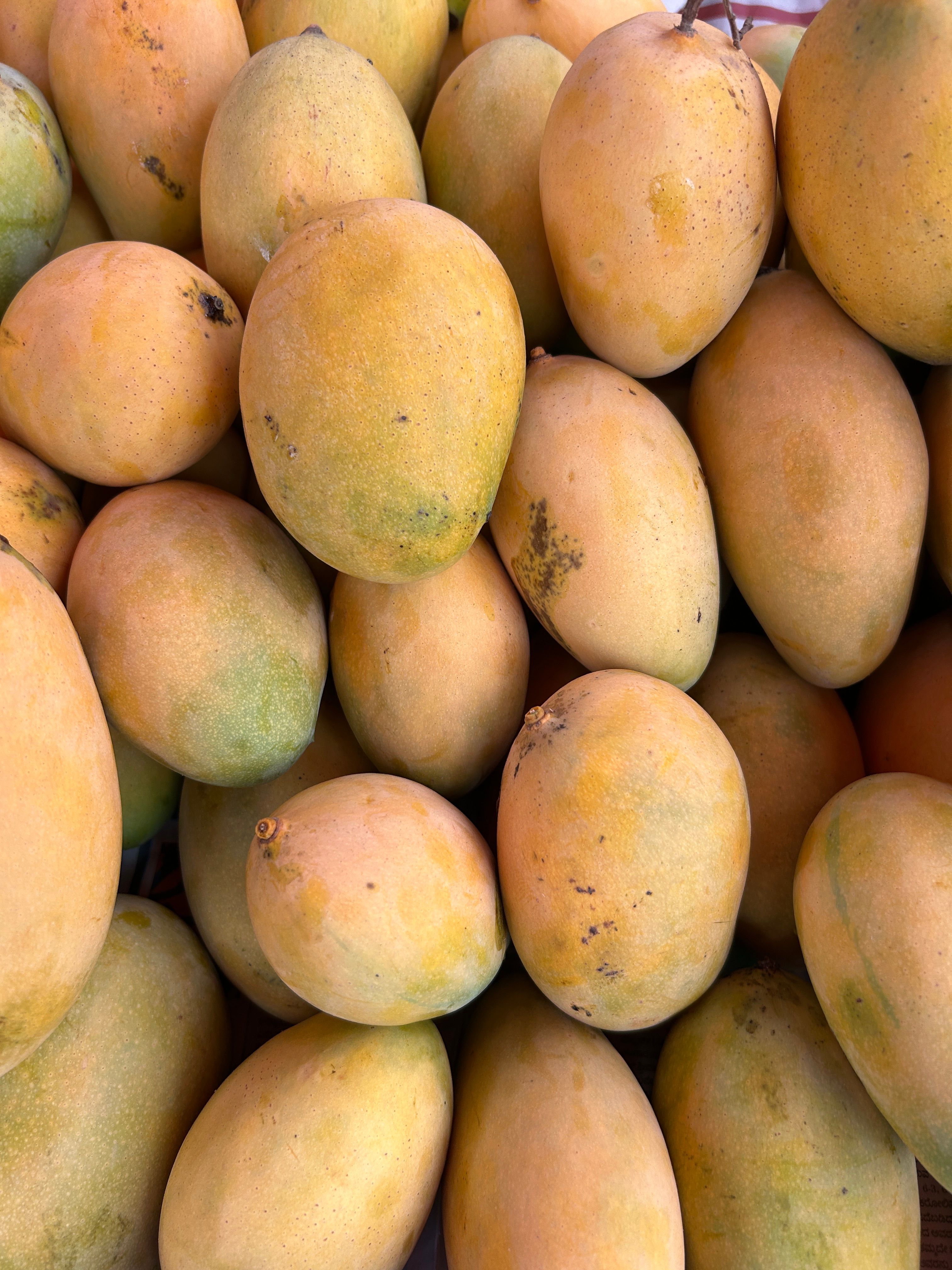A vibrant pile of fresh, ripe organic mangoes showcasing their natural colors and textures.