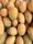 mangoes