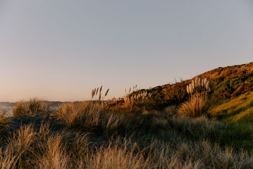 Free Beautiful sunset over sand dunes at Raglan Beach, New Zealand, capturing nature's golden hour hues. Stock Photo