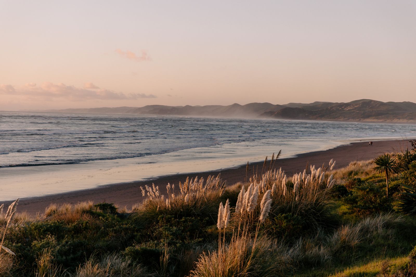 Waikato