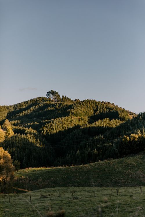 Free Serene sunset casting warm light over a lush, rugged hillside landscape in New Zealand. Stock Photo