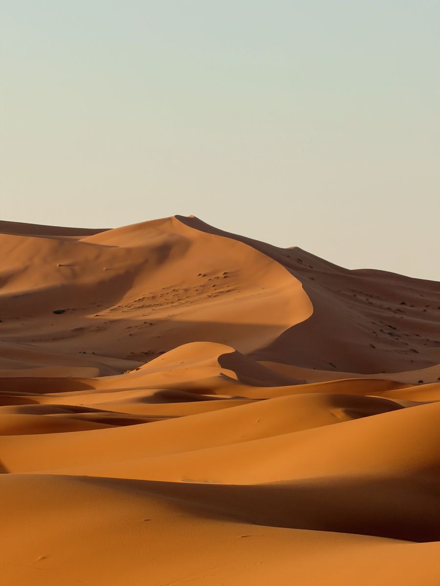 Golden sand dunes curving under a pale dawn sky — photo by Emre Koşak on Pexels