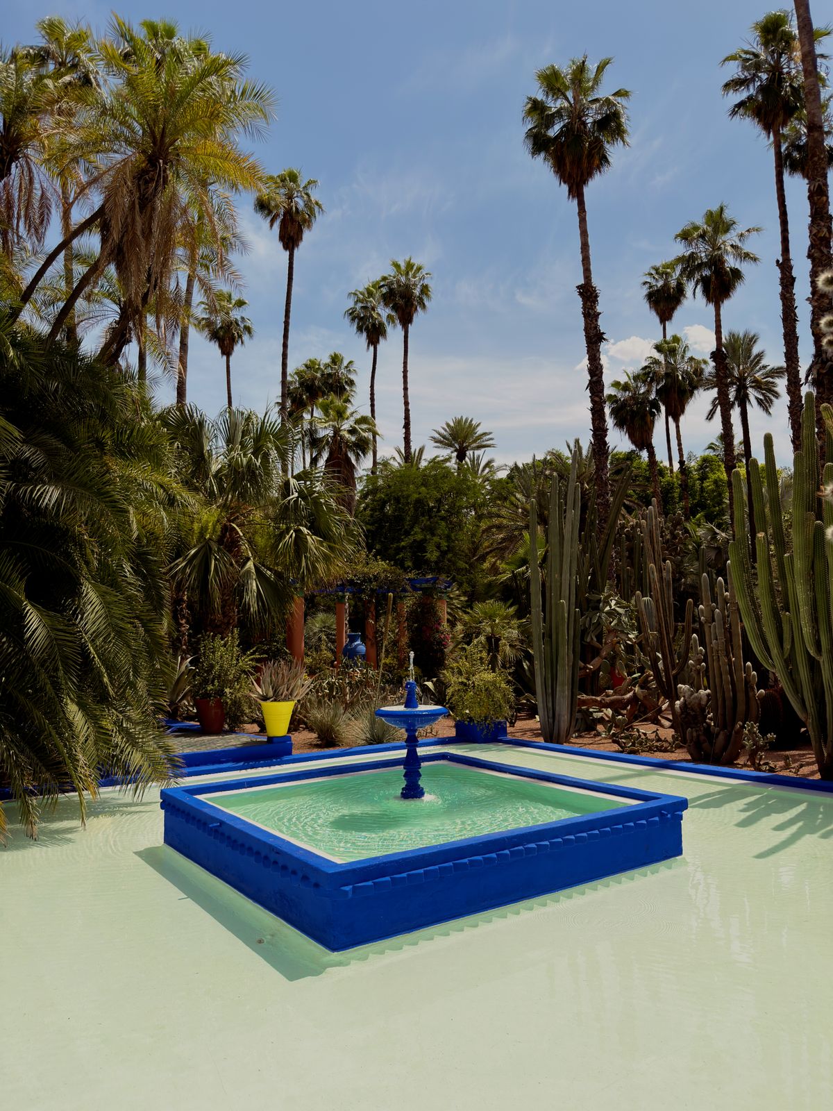 Marrakesh — A living city of red walls, spice-scented souks and courtyard riads (4)