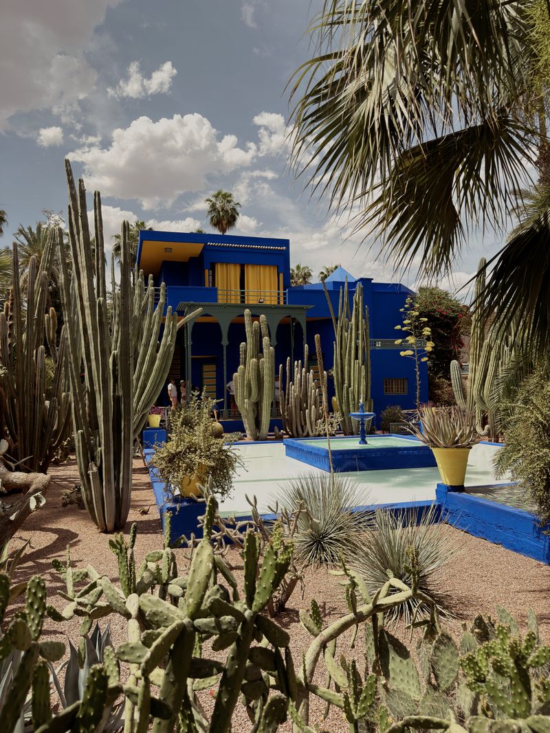 Majorelle Garden with vivid blue walls and exotic plants