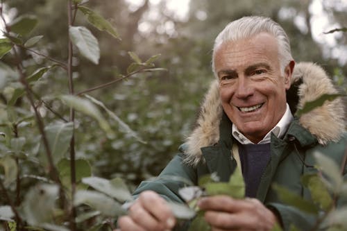 Free Man in Green Coat Standing Near Green Leaf Tree Stock Photo