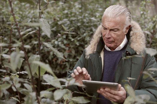 Senior man in a green coat using a tablet amidst lush foliage, enjoying technology in nature.