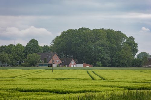 Free Tranquil countryside view with lush green fields and traditional houses in Coesfeld, NRW, Germany. Stock Photo