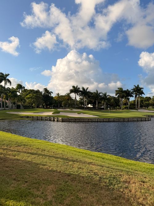 Free Picturesque golf course with palm trees, clear sky, and water feature in Boca Raton, FL. Stock Photo