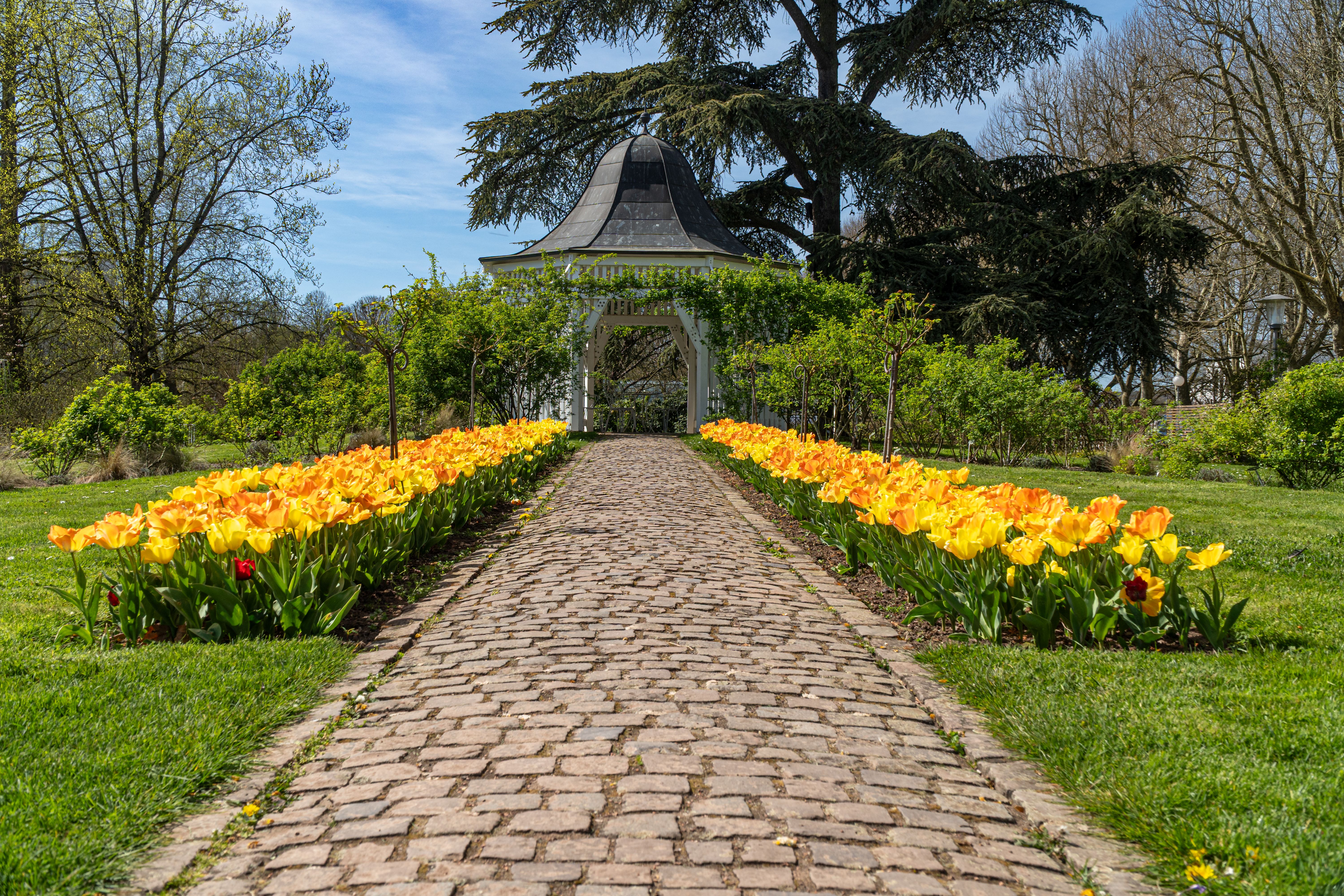 Kiesweg im Garten mit Pflanzenrändern