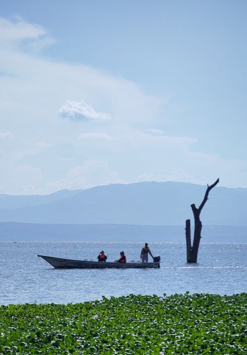 Free Peaceful scene of fishermen in a boat on a lake with distant hills and a tree. Stock Photo