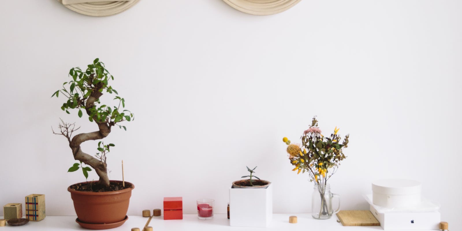 minimalist room decor with a potted bonsai tree and a vase of dried flowers