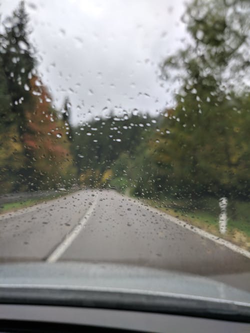 Základová fotografie zdarma na téma auto, déšť, deštný prales