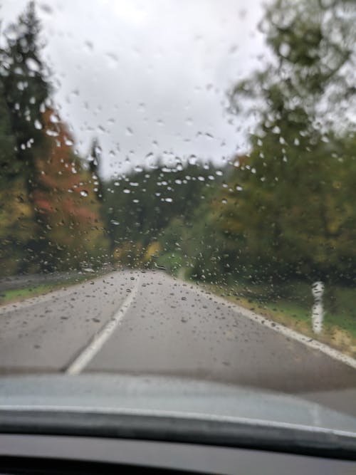 Free stock photo of autumn, autumn color, car