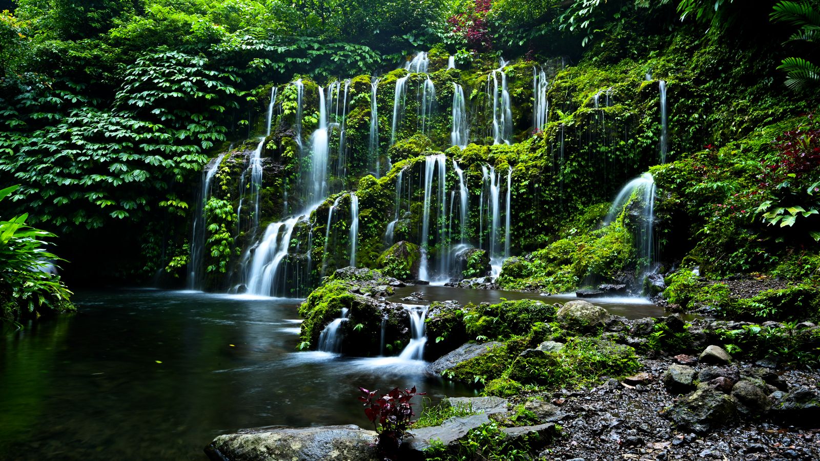 The green interior rewards an early start — waterfalls and jungle before the midday heat.