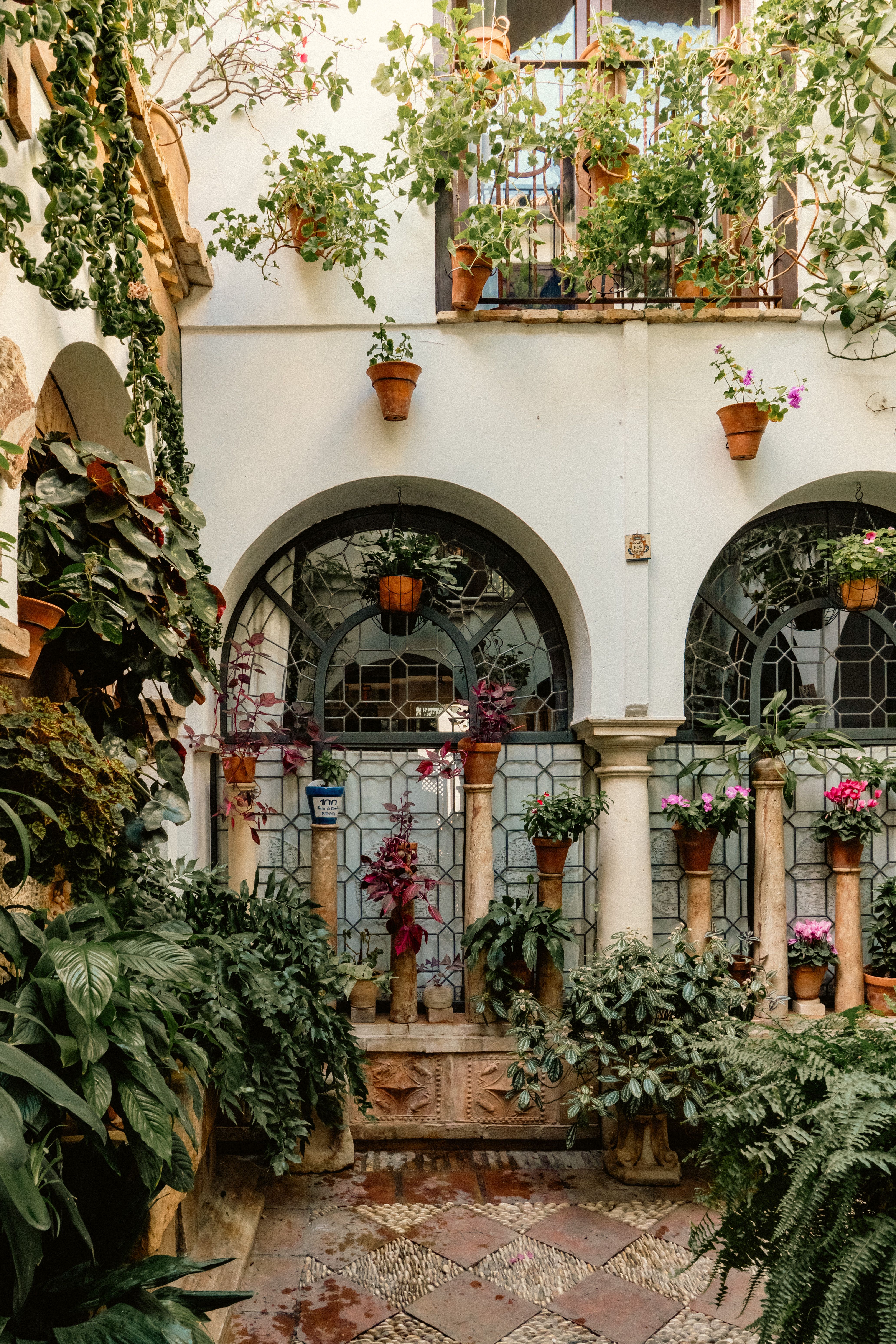 Beautiful Cordoba patio surrounded by lush greenery and traditional architecture.