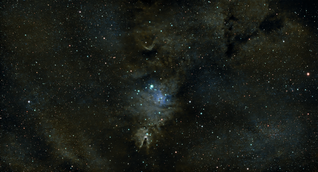 Capture of the vast Orion Nebula, showcasing cosmic beauty in deep space.