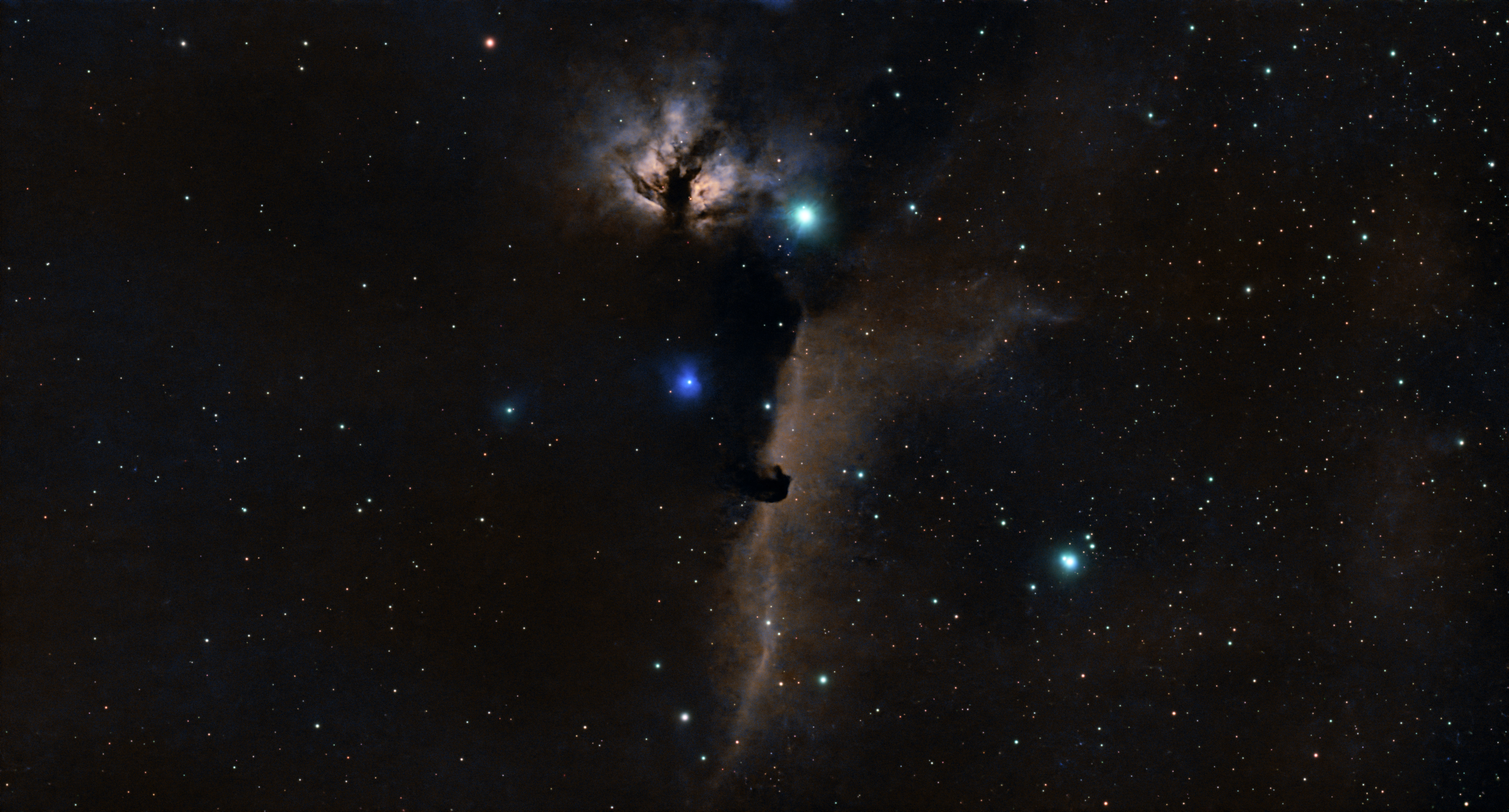 Captivating image of the Horsehead Nebula with bright stars and cosmic dust.