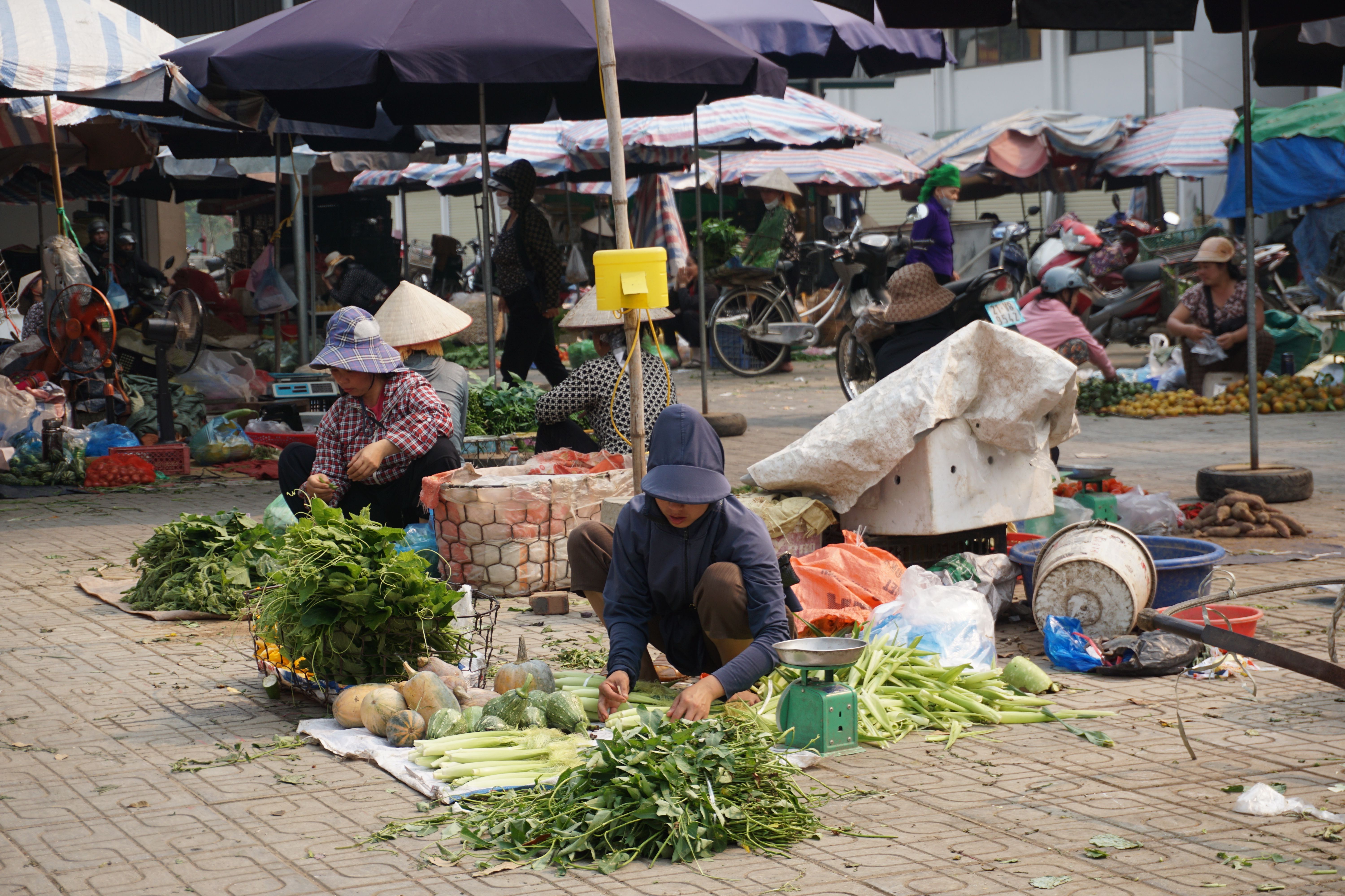A bustling Vietnamese market with vendors showcasing fresh produce and local flavors.