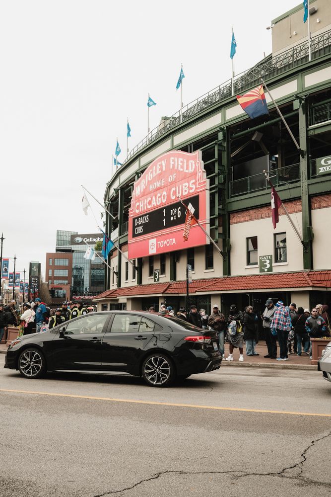 Cubs Sign Photos, Download The BEST Free Cubs Sign Stock Photos & HD Images