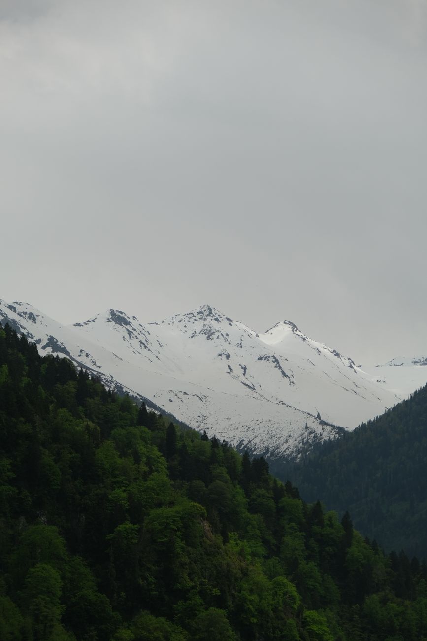 Capture of snow-capped mountains and lush green forests in Rize, Türkiye, showcasing nature's beauty.