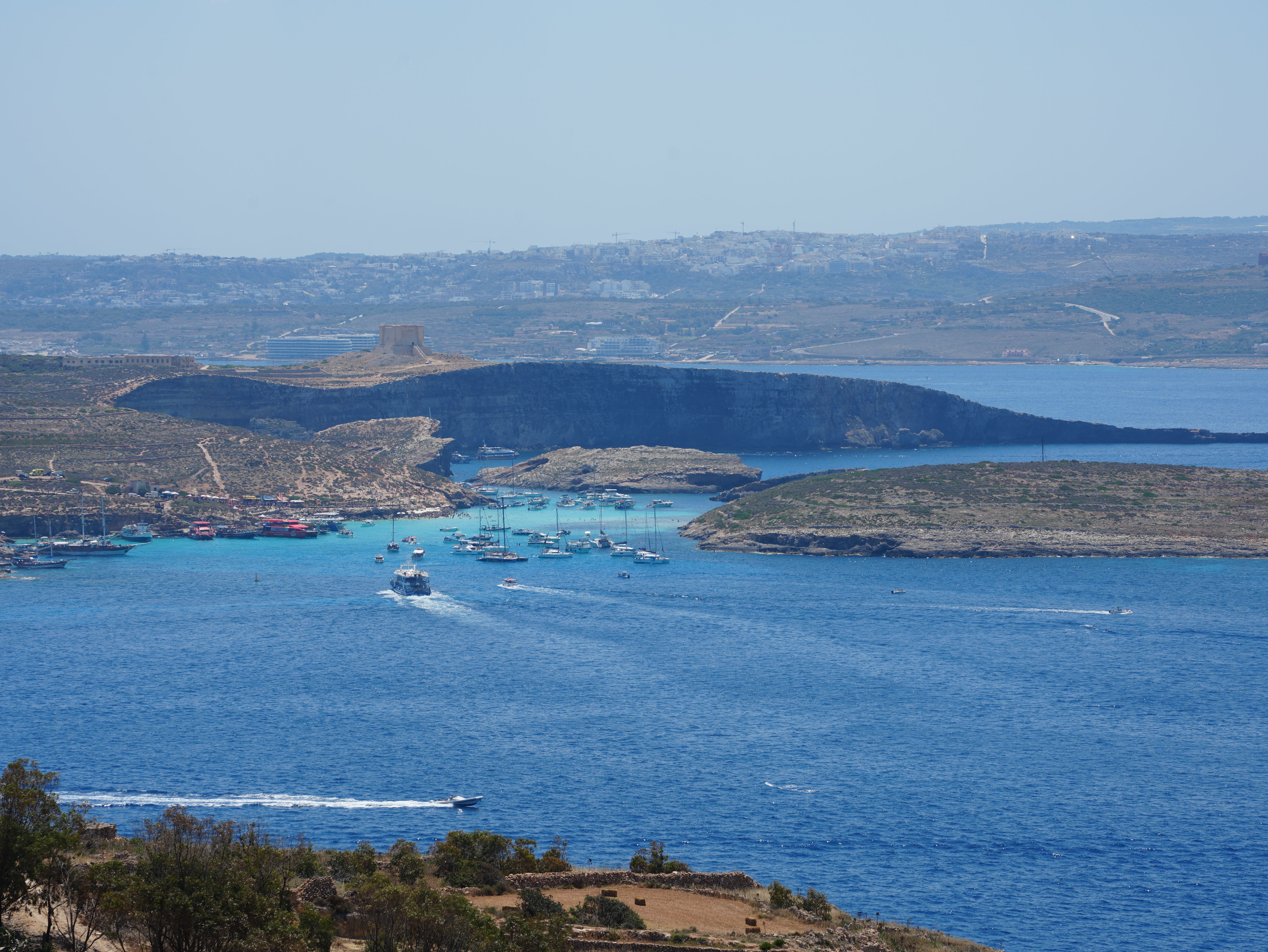 Comino & Lagon Bleu