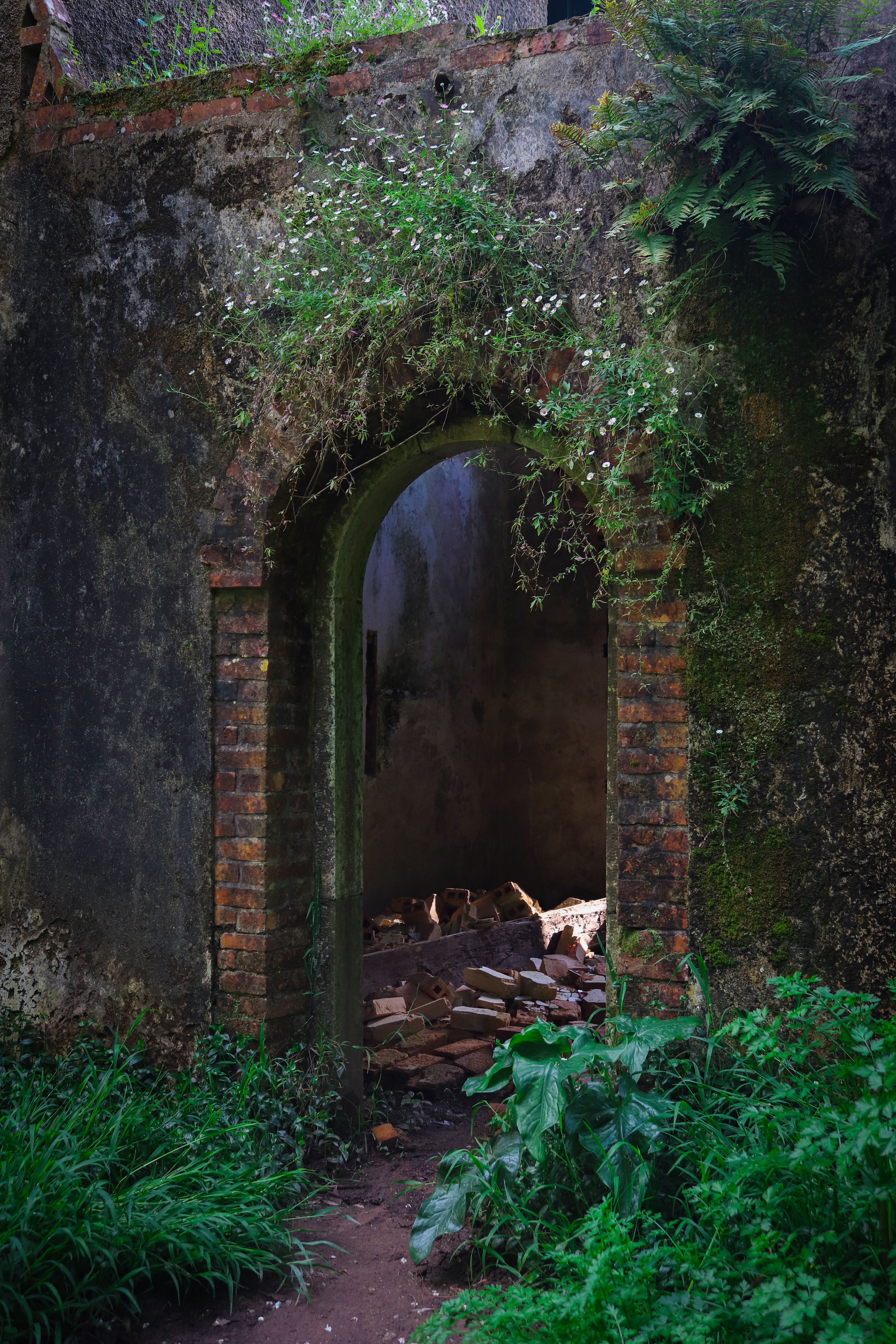 Explore the enchanting ruins of an ancient building in Luso, Portugal, with overgrown greenery.