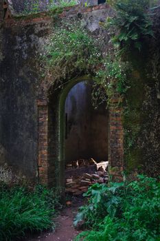 Explore the enchanting ruins of an ancient building in Luso, Portugal, with overgrown greenery.