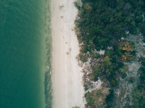 An aerial shot capturing a scenic beach with adjacent greenery under daylight.