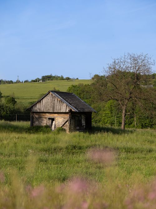 Free A rustic wooden barn nestled in a tranquil green countryside with a clear blue sky. Stock Photo