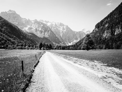 Black and white capture of a tranquil Alpine valley with a gravel road leading to majestic mountains.