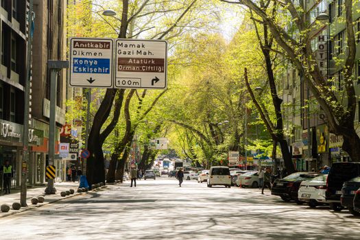 Lively Ankara street with traffic signs, cars, and people under a lush canopy of spring trees.